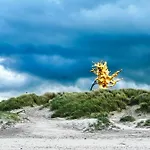 Apartmán West-ende Middelkerke